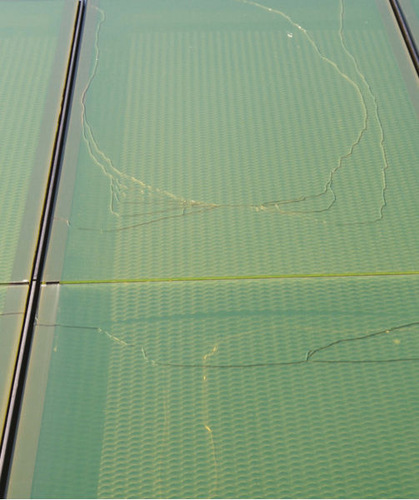 Bei 35 Prozent der Fassadengläser traten Glasbrüche auf. - ift, Werner Stiell - © ift, Werner Stiell
