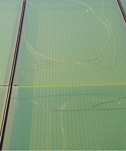 Bei 35 Prozent der Fassadengläser traten Glasbrüche auf. - ift, Werner Stiell - © ift, Werner Stiell
Bei 35 Prozent der Fassadengläser traten Glasbrüche auf. - ift, Werner Stiell - © ift, Werner Stiell