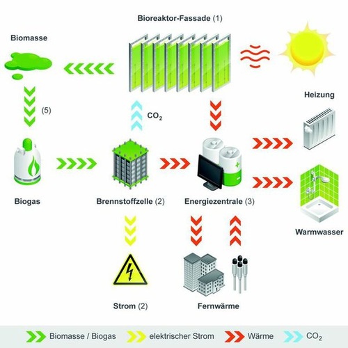 Der Kreislauf: Über einen eigenen Wasserkreislauf werden die Mikroalgen mit flüssigen Nährstoffen versorgt und gedeihen durch Sonnenlicht. Regel­mäßig werden die Algen geerntet und im BIQ-eigenen Technikraum für die Gewinnung von Biogas genutzt. - Fotos: Arup Deutschland GmbH