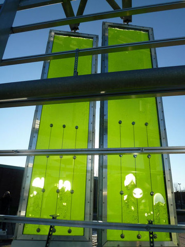 Das im Rahmen der Internationalen Bauausstellung (IBA) in Hamburg entstandene BIQ Algenhaus deckt über eine 200 m2 große Algenfassade einen Teil seines Energiebedarfs ab. - Arup Deutschland GmbH - © Arup Deutschland GmbH
