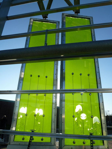 Das im Rahmen der Internationalen Bauausstellung (IBA) in Hamburg entstandene BIQ Algenhaus deckt über eine 200 m2 große Algenfassade einen Teil seines Energiebedarfs ab. - Arup Deutschland GmbH - © Arup Deutschland GmbH
Das im Rahmen der Internationalen Bauausstellung (IBA) in Hamburg entstandene BIQ Algenhaus deckt über eine 200 m2 große Algenfassade einen Teil seines Energiebedarfs ab. - Arup Deutschland GmbH - © Arup Deutschland GmbH