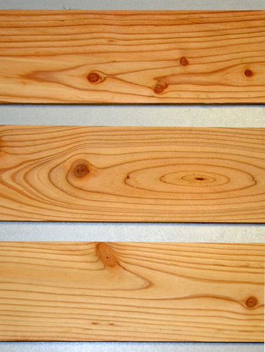 Lärche astig - Wertbau