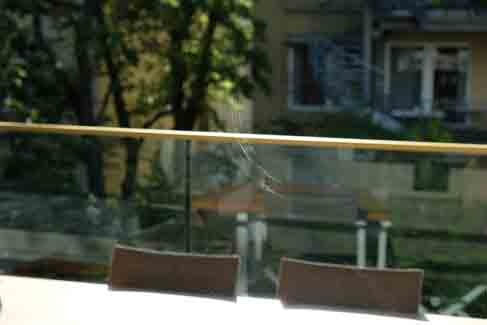 02: Auch Saugerabdrücke, die nur bei Sonnenschein ­sichtbar sind, können als Mangel gewertet werden. - Wolf-Dietrich Chmieleck