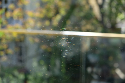 03: Ebenson können Kratzer, die nur im Sonnenlicht zu sehen sind, als Mangel gewertet werden. - Wolf-Dietrich Chmieleck