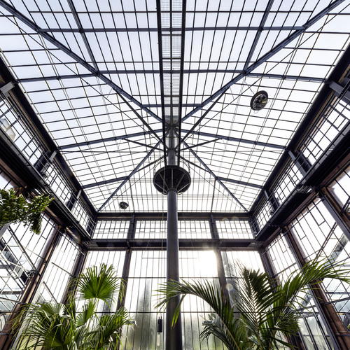 Das eingesetzte Gewe-composite bietet durch seinen hohen Strahlungstransmissionsgrad eine optimale Lichtmenge für die Pflanzen in den Gewächshäusern. - Schollglas