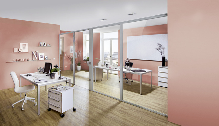 Das TWS 1000 Serienelement von Deubl alpha ermöglicht ﻿Glastrennwände ohne Deckenanbindung. Die Oberflächen gibt es in Silber Matt und Grau Metallic.