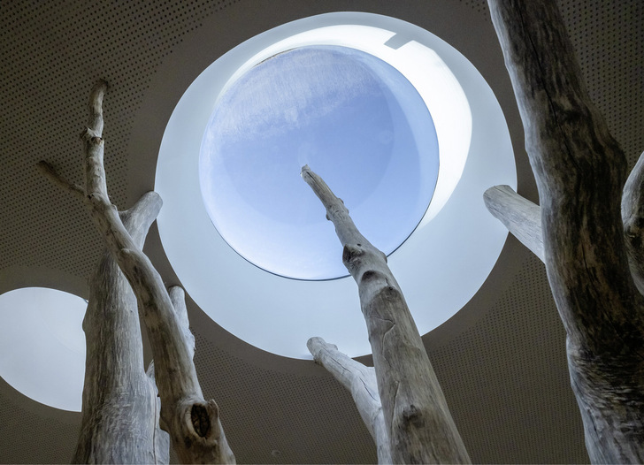 In der Kindertagesstätte von Lamilux in Rehau thront ein ­großer Baum inmitten der Eingangshalle. Dafür wurden speziell runde Flachdach ­Fenster entwickelt. - © Foto: Lamilux
