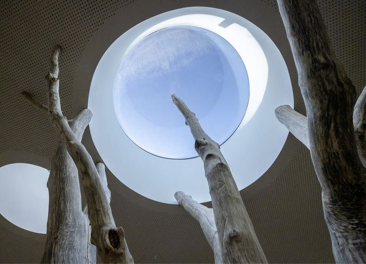 In der Kindertagesstätte von Lamilux in Rehau thront ein ­großer Baum inmitten der Eingangshalle. Dafür wurden speziell runde Flachdach ­Fenster entwickelt.