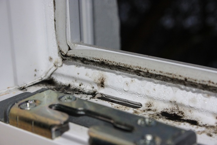 Schimmelnde Fälze in einem Kunststofffenster mit innerer Überschlagsdichtung.