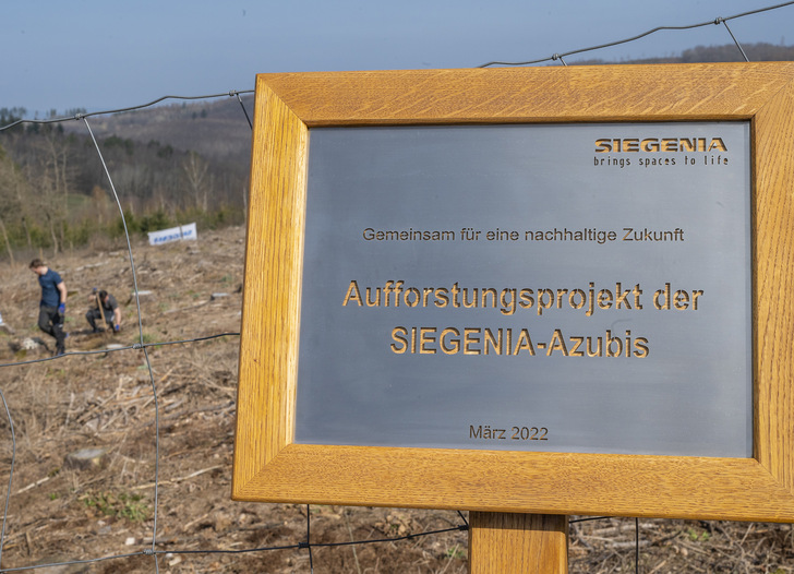 In unmittelbarer Nähe zum Rothaarsteig, einem knapp 160 km langen Fernwanderweg, halfen die Azubis von Siegenia bei einem Aufforstungsprojekt mit über 1.100 Setzlingen. - © Siegenia
