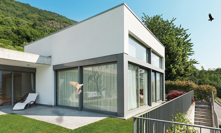 Vogelschlag – ein ernstzunehmendes Problem in Deutschland. 