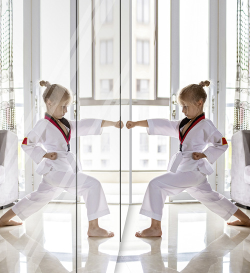 Wirksamer Splitterschutz: Der Sicherheitsspiegel ­Miralite Easysafe hält Glassplitter bei Bruch sicher fest.