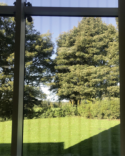  Das Vogelschutzglas Avisafe zählt zu den UV-markierten ­Gläsern. Von innen nach ­­außen ist es nur schwach sichtbar.