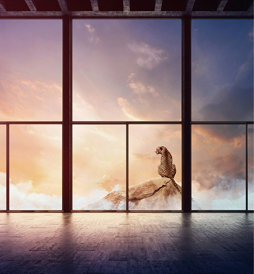 in Highlight bei Pilkington ist das CO2-arme Mira Glas