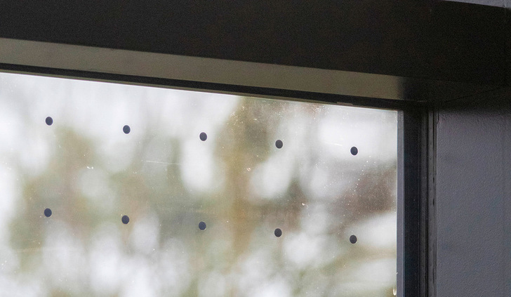 So sieht das Vogelschutzglas des DFB-Campus von innen aus