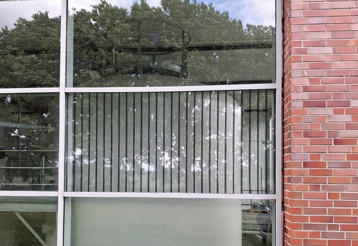 Das speziell von Haverkamp entwickelte schwarze Punktemuster auf der ansonsten transparenten Flachglasfolie bietet effektiven Vogelschutz.