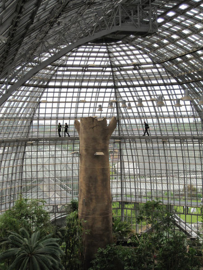 Das Groï¿½e Tropenhaus im Botanischen Garten Berlin-Dahlem wurde wï¿½hrend der letzten drei Jahre aufwï¿½ndig saniert.