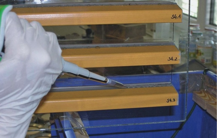 Im Boxtest wurden die Praxisanforderungen simuliert Dazu wurden die Dichtstoffe der Glasanschlussfuge mit Pilzsporen beimpft.