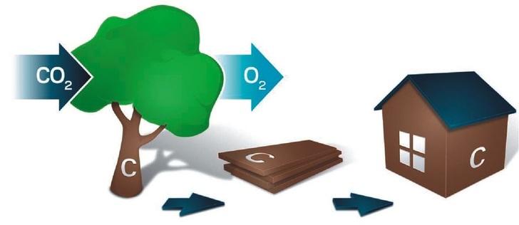 Aktiver Klimaschutz<br />Nur der natürliche Werkstoff Holz kann CO<sub>2</sub> reduzieren.