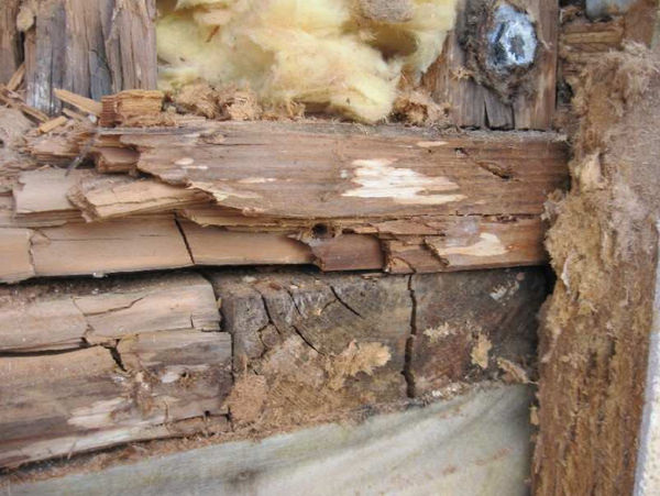 Die Schwellenanschlüsse: An dem noch jungen Haus ­mussten auf vier Seiten alle Grundschwellen ausgetauscht ­werden. ­Schaden ohne Aufwandstunden der Handwerker rund 150 000 Euro.