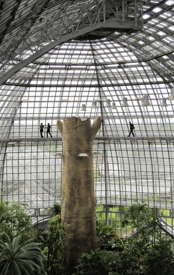 Im weltbekannten Berliner Tropenhaus sind die VSG-Scheiben mit der UV-durchlässigen Ionoplast-Zwischenlage SentryGlas N-UV ausgestattet. - © Foto: Matthias Rehberger
 Im weltbekannten Berliner Tropenhaus sind die VSG-Scheiben mit der UV-durchlässigen Ionoplast-Zwischenlage SentryGlas N-UV ausgestattet.