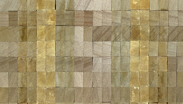 
Probekörper aus der Untersuchung der natürlichen Dauerhaftigkeit von „Meranti 450+
“

