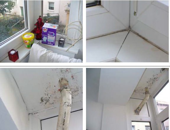 Bei einem Mehrfamilienhaus aus den 1930-er Jahren wurde ohne Planung die Loggia einer

Mietwohnung durch Fensterelemente mit Wärmeschutzverglasung geschlossen, um zusätzliche Wohnfläche zu schaffen. Die dort vorhandenen, einscheibenverglasten Fenster wurden im Rahmen der Einzelmaßnahme ausgetauscht. An den Außenbauteilen des Raums kam es in der ersten Heizperiode nach Fertigstellung der Maßnahme zu massivem Schimmelpilzbefall.