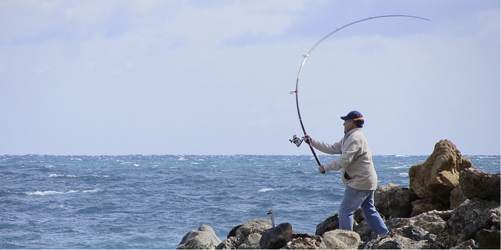 <p>
</p>

<p>
Mit der richtigen Strategie fangen Sie frische Fische und neue Kunden.
</p> - © Foto: Rosel Eckstein / pixelio.de

