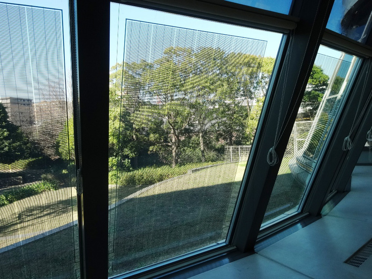 Dieses Pilkington-Isoliergläser ist mit BIPV-Technologie von Solaria ausgestattet