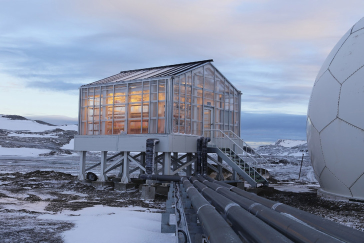 Das Gewächshaus der chinesischen Forschungsstation Great Wall Station ist mit Plexiglas von Evonik gefertigt.