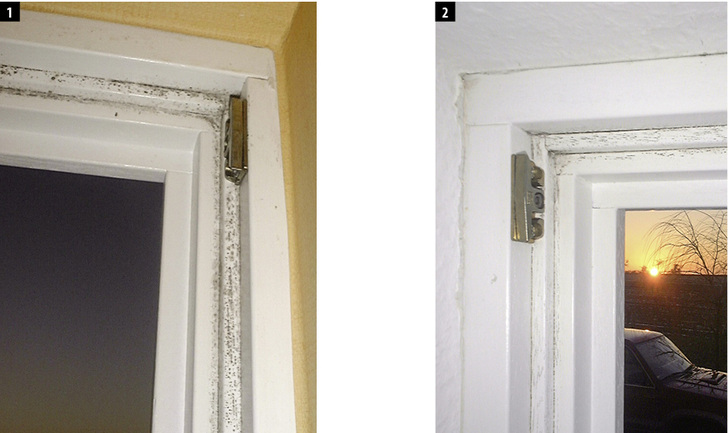 <p>
Bild 1: Holzfenster mit Schimmelpilz im Fensterfalz bei gutem n50-Wert des Hauses.
</p>

<p>
Bild 2: Schimmelpilz im Dichtungsfalz
</p>