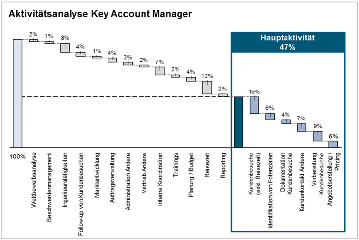 Abbildung 2: Projektbeispiel — Allokation der Arbeitszeit im Vertrieb