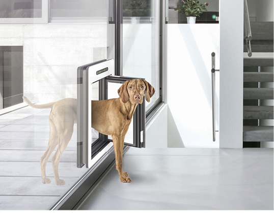 <p>
</p>

<p>
Petwalk Tiertüre Large eingebaut in eine Ganzglasfassade
</p> - © Petwalk

