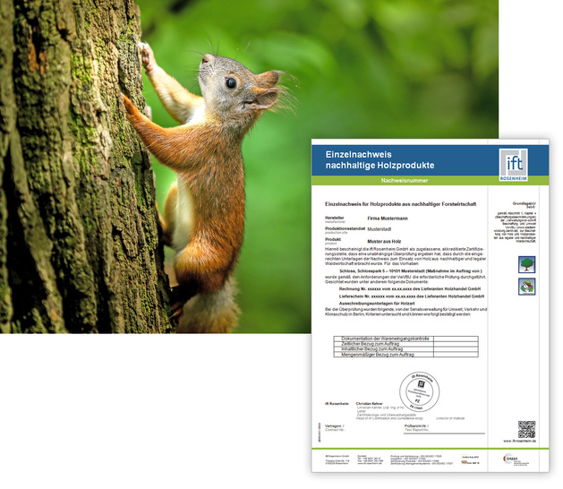 Um Wälder und die Artenvielfalt effektiv zu schützen, ist eine nachhaltige Holzwirtschaft nötig.