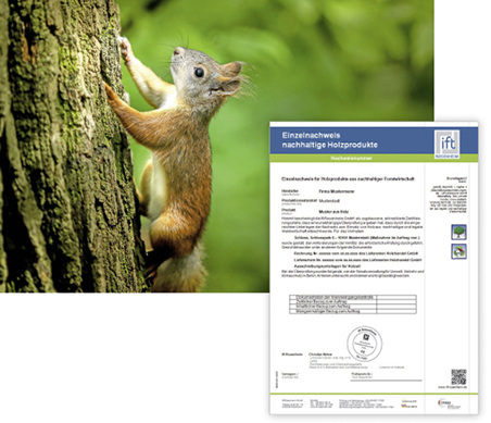 



Um Wälder und die Artenvielfalt effektiv zu schützen, ist eine nachhaltige Holzwirtschaft nötig.
