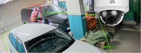 
Die erweiterten Analysefunktionen der SNC-441 Kamera erkennen Eindringlinge.



