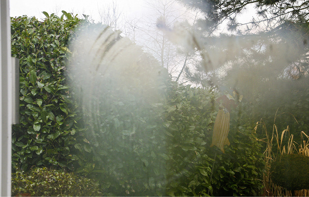 <p>
</p>

<p>
Auch Streifen oder Saugerabdrücke, die nur bei Sonnenschein sichtbar sind, können einen Mangel darstellen.
</p> - © Foto: Wolf-Dietrich Chmieleck

