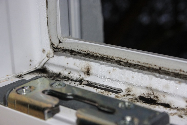 Verschimmelter Fensterfalz an einem Kunststoffelement