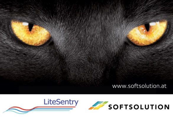 © Softsolution/Litesentry
