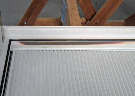 Die Verfärbung variiert von dunkelviolett im Zentrum bis zu hellviolett an den
zudem gelblich verfärbten Rändern.