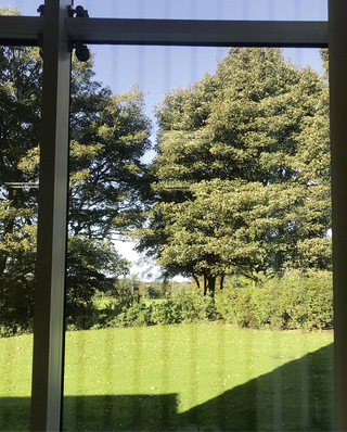  Das Vogelschutzglas Avisafe zählt zu den UV-markierten ­Gläsern. Von innen nach ­­außen ist es nur schwach sichtbar.