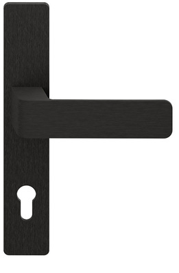 Top-Design für Elite-Türen durch Applikationen aus Aluminium in RAL 9005 Schwarz. Im Bild zu sehen ist der neue Designdrücker H6 in der Farbe Schwarz mit Langschild. Er kann auch mit geteiltem Schild und Rosette bestellt werden.