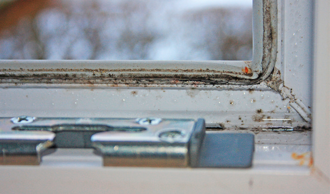 Tauwasser im Falz tritt auf, wenn keine Feuchtraumabluftanlagen vorhanden sind und ein Dampfdruckgefälle von innen nach außen vorherrscht.