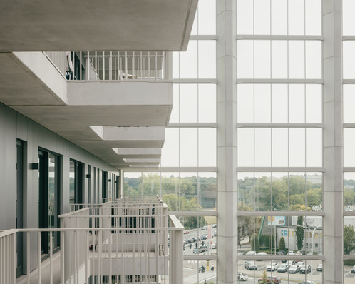 Die gebäudehohe Glaswand ist aus dem Vogelschutzglas Ornilux mikado gefertigt.