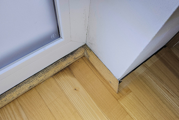 Ärgerlich: Schon nach einer kurzen Phase klagt der ­Bewohner über Schimmelschäden.