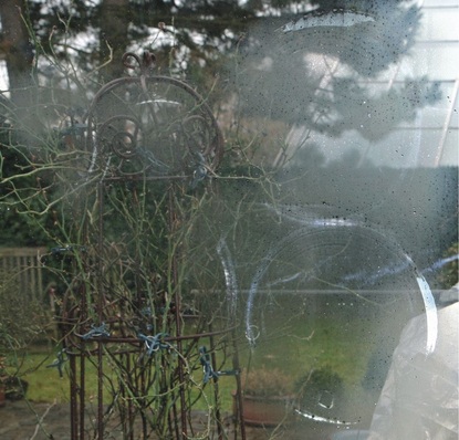 Ringe bei Verglasungen neuer Fenster­elemente Der Sachverständige musste klären, ob es sich hierbei um ­Mängel handelt.