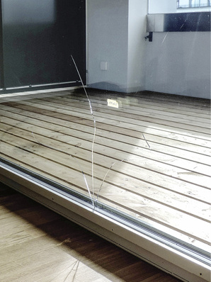 



Ein thermischer Glasbruch kann beispielsweise durch eine Teilbeschattung der Scheibe ausgelöst werden. Ursache ist oft eine vorgeschädigte Glaskante.
