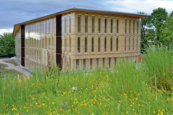 
Durch die schützende Glashülle kommt die Holzkonstruktion des Gebäudes voll zur Geltung
