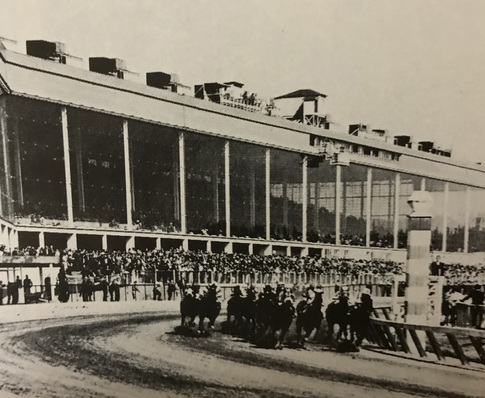 Die Gesamtansicht des fertigen Tribünenbaus lässt hier eine imposante Leistung verglasungstechnischer Ausführung erkennen.