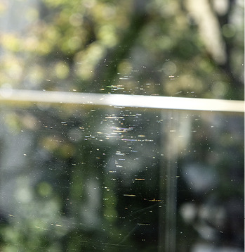 



Solche optischen Beeinträchtigungen auf oder in der Scheibe muss nach Ansicht der Sachverständigen des SAK Glas kein Endkunde akzeptieren … 
